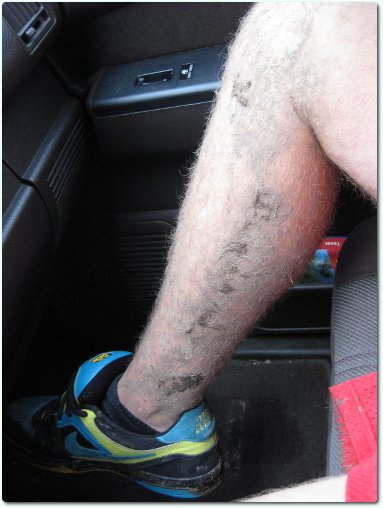 IMG_1195-pub IMG_1195-pub