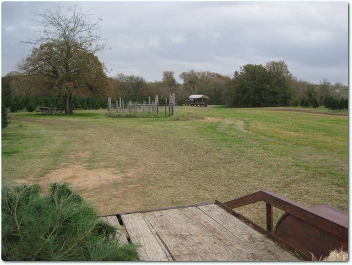 Tree19-pub Tree19-pub